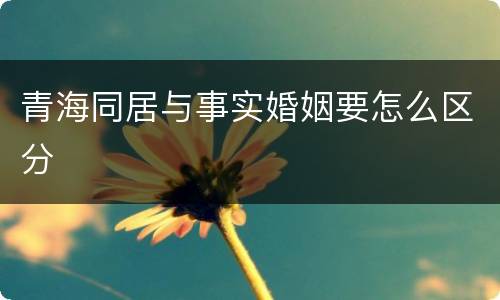 青海同居与事实婚姻要怎么区分