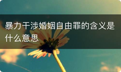 暴力干涉婚姻自由罪的含义是什么意思