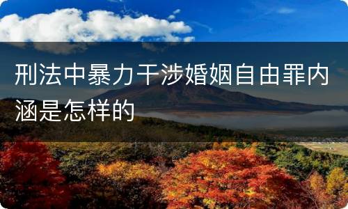 刑法中暴力干涉婚姻自由罪内涵是怎样的