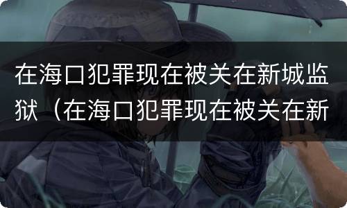 在海口犯罪现在被关在新城监狱（在海口犯罪现在被关在新城监狱怎么处理）