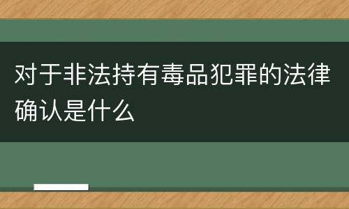 对于非法持有毒品犯罪的法律确认是什么
