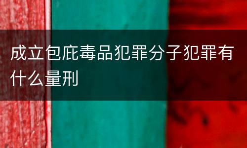 成立包庇毒品犯罪分子犯罪有什么量刑
