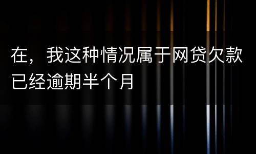 在，我这种情况属于网贷欠款已经逾期半个月