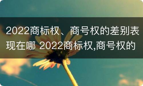 2022商标权、商号权的差别表现在哪 2022商标权,商号权的差别表现在哪些方面