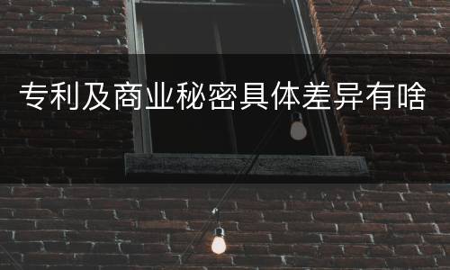 专利及商业秘密具体差异有啥