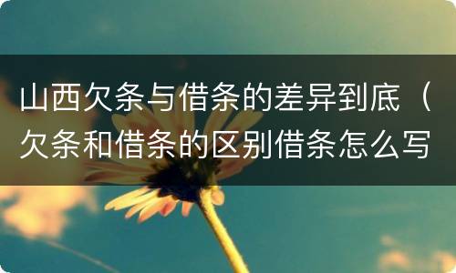山西欠条与借条的差异到底（欠条和借条的区别借条怎么写）