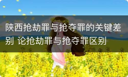 陕西抢劫罪与抢夺罪的关键差别 论抢劫罪与抢夺罪区别