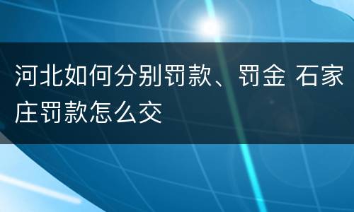 河北如何分别罚款、罚金 石家庄罚款怎么交