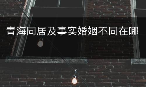 青海同居及事实婚姻不同在哪
