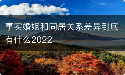 事实婚姻和同居关系差异到底有什么2022