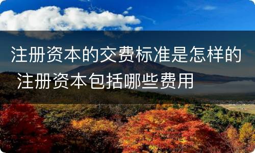 注册资本的交费标准是怎样的 注册资本包括哪些费用