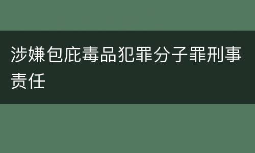 涉嫌包庇毒品犯罪分子罪刑事责任