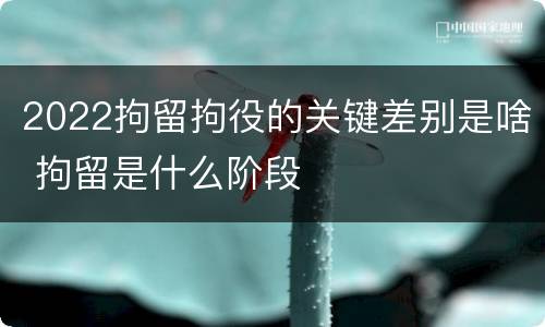 2022拘留拘役的关键差别是啥 拘留是什么阶段
