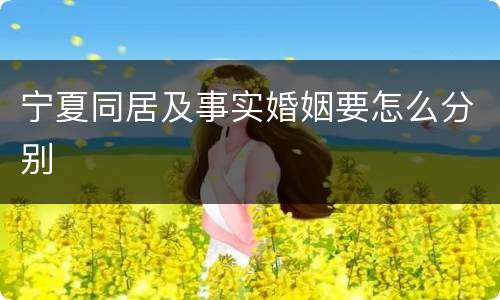 宁夏同居及事实婚姻要怎么分别