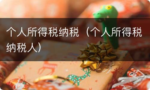 个人所得税纳税（个人所得税纳税人）