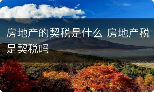 房地产的契税是什么 房地产税是契税吗