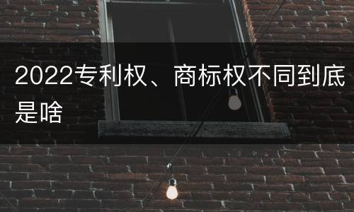 2022专利权、商标权不同到底是啥
