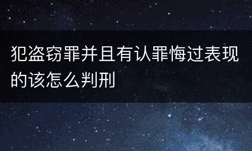 犯盗窃罪并且有认罪悔过表现的该怎么判刑