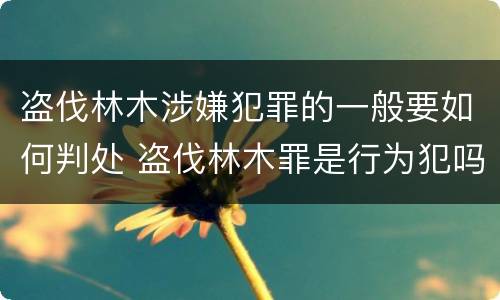 盗伐林木涉嫌犯罪的一般要如何判处 盗伐林木罪是行为犯吗