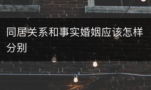 同居关系和事实婚姻应该怎样分别