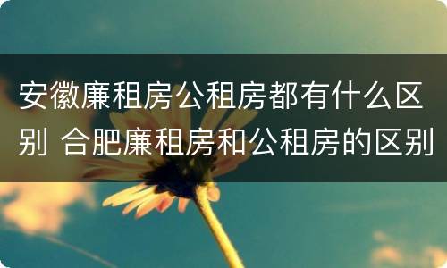 安徽廉租房公租房都有什么区别 合肥廉租房和公租房的区别