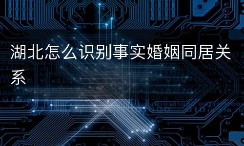 湖北怎么识别事实婚姻同居关系