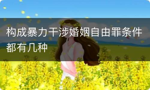 构成暴力干涉婚姻自由罪条件都有几种