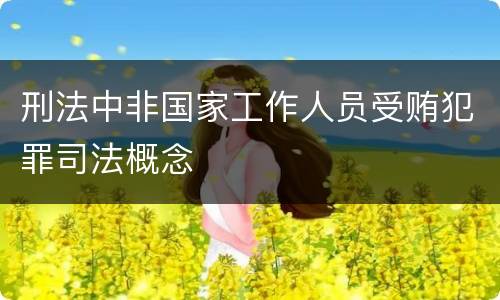 刑法中非国家工作人员受贿犯罪司法概念