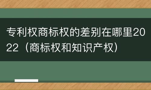 专利权商标权的差别在哪里2022（商标权和知识产权）