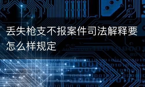 丢失枪支不报案件司法解释要怎么样规定