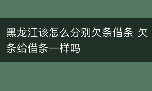 黑龙江该怎么分别欠条借条 欠条给借条一样吗