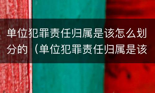 单位犯罪责任归属是该怎么划分的（单位犯罪责任归属是该怎么划分的呢）
