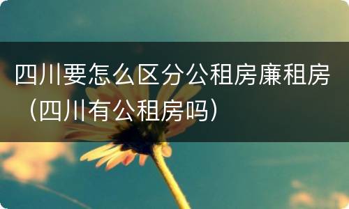四川要怎么区分公租房廉租房（四川有公租房吗）