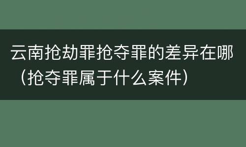 云南抢劫罪抢夺罪的差异在哪（抢夺罪属于什么案件）