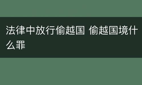 法律中放行偷越国 偷越国境什么罪