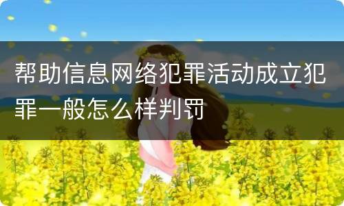 帮助信息网络犯罪活动成立犯罪一般怎么样判罚