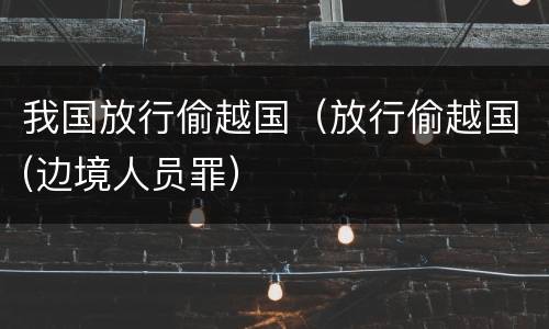 我国放行偷越国（放行偷越国(边境人员罪）