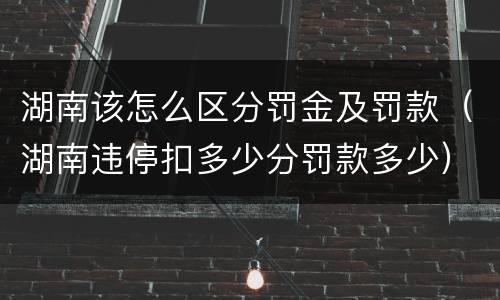 湖南该怎么区分罚金及罚款（湖南违停扣多少分罚款多少）