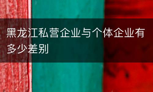 黑龙江私营企业与个体企业有多少差别