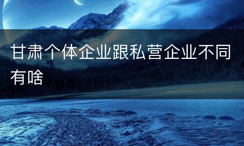 甘肃个体企业跟私营企业不同有啥