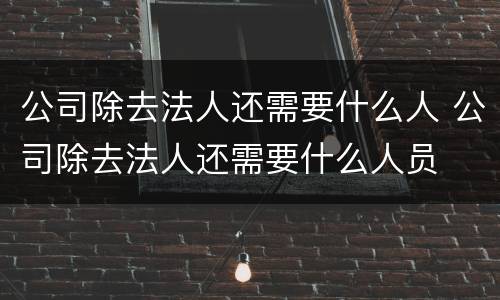 公司除去法人还需要什么人 公司除去法人还需要什么人员