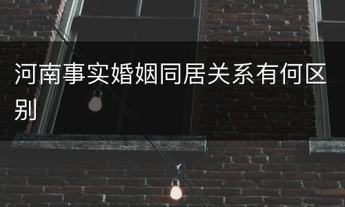河南事实婚姻同居关系有何区别