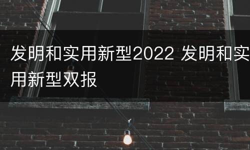 发明和实用新型2022 发明和实用新型双报