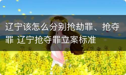 辽宁该怎么分别抢劫罪、抢夺罪 辽宁抢夺罪立案标准