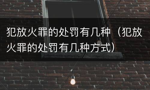 犯放火罪的处罚有几种（犯放火罪的处罚有几种方式）