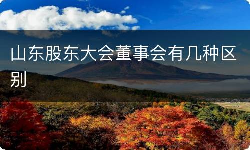 山东股东大会董事会有几种区别