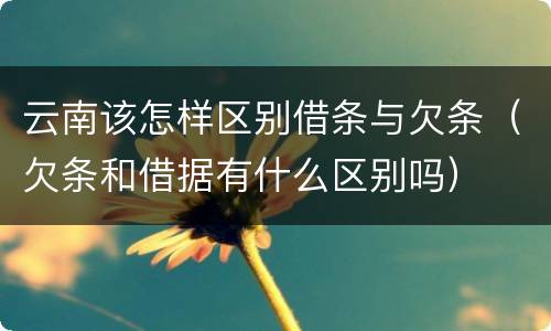 云南该怎样区别借条与欠条（欠条和借据有什么区别吗）