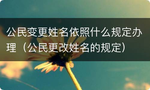 公民变更姓名依照什么规定办理（公民更改姓名的规定）