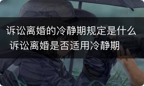 诉讼离婚的冷静期规定是什么 诉讼离婚是否适用冷静期