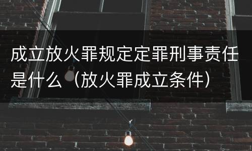 成立放火罪规定定罪刑事责任是什么（放火罪成立条件）